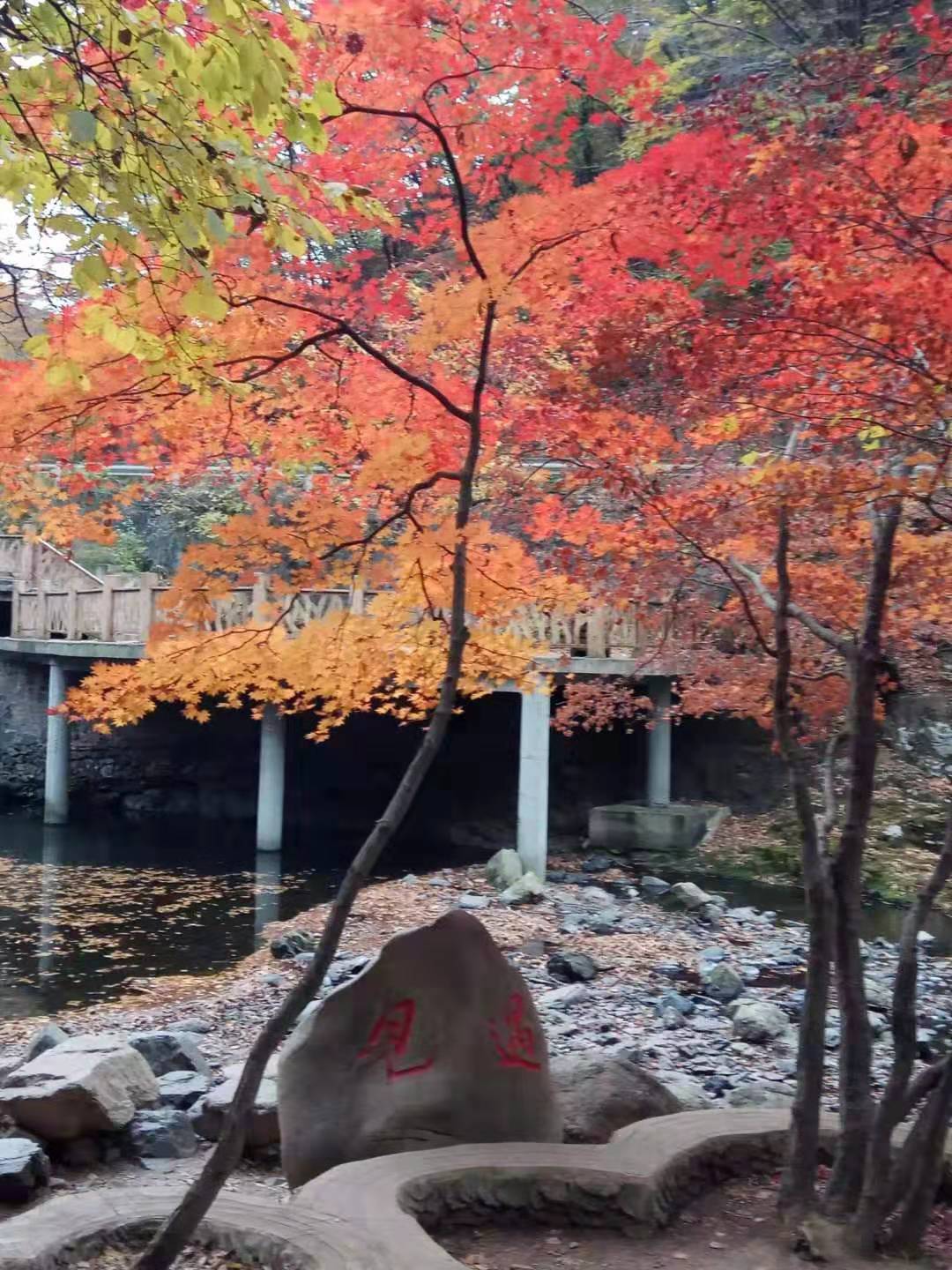 坚持的幸运,坚持奋斗幸福永远笑在最后