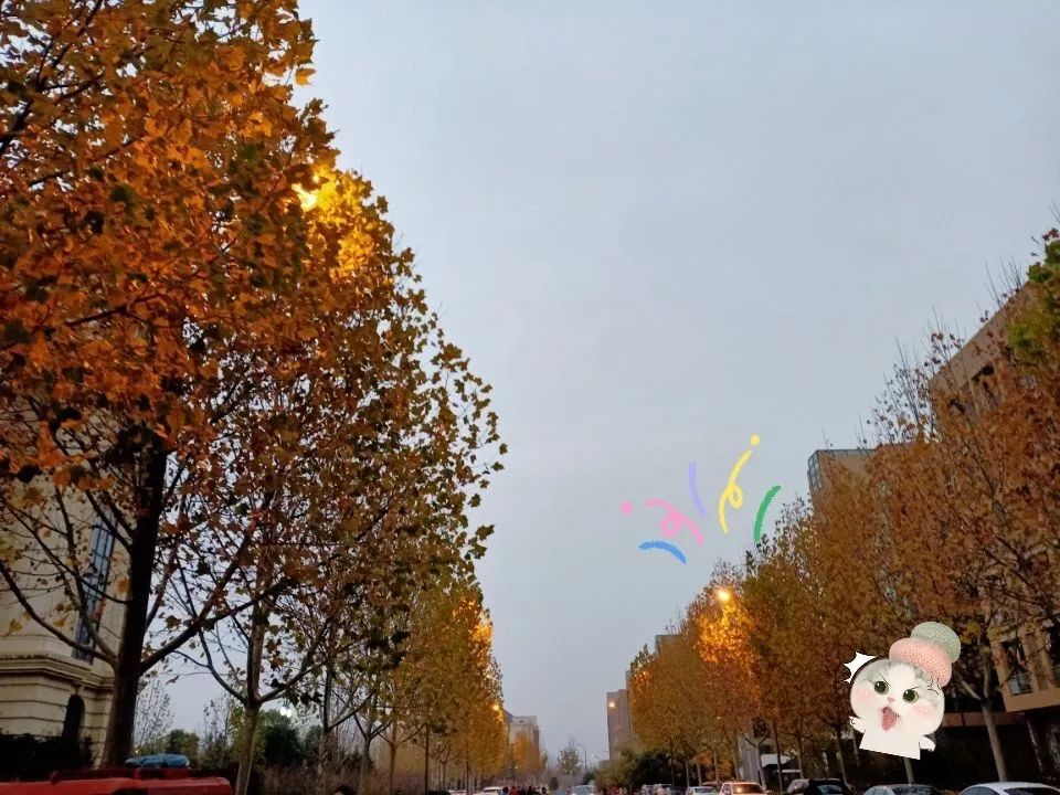 优微推荐｜农农邀你来场别致约会