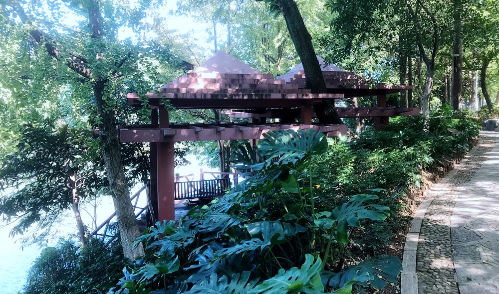 闹中取静旅游的地方,闹中取静的去处