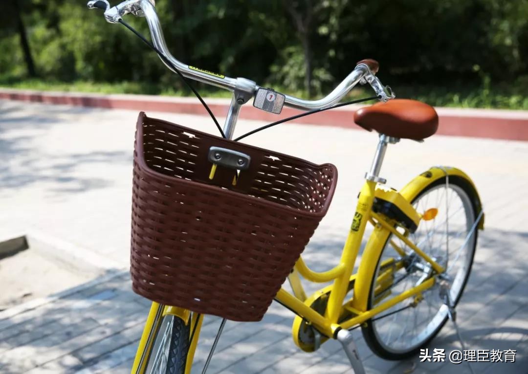 凤凰自行车一年营收,凤凰自行车净利润