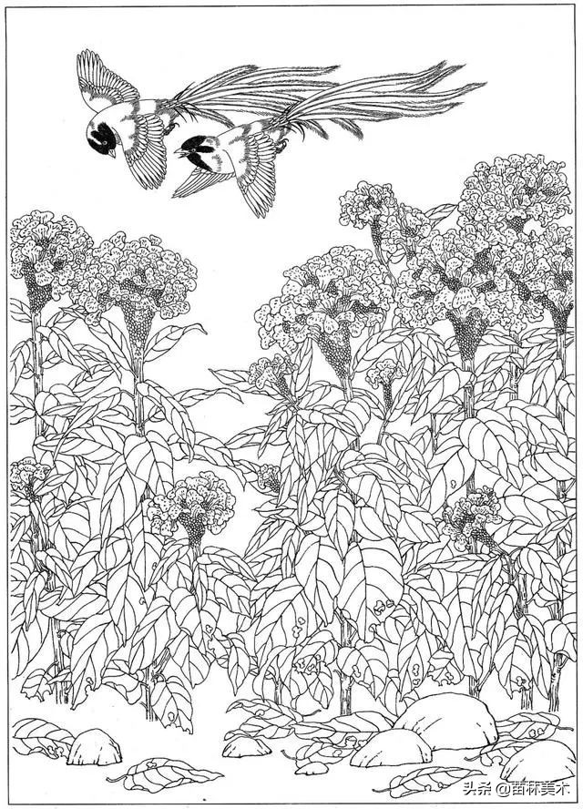 现代国画工笔花鸟白描及完整版,路雨年工笔白描花鸟团扇高清图片