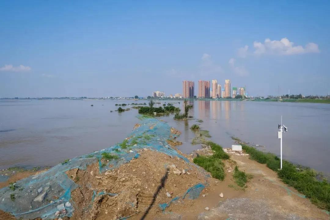 人在新乡，我们的家还在水里