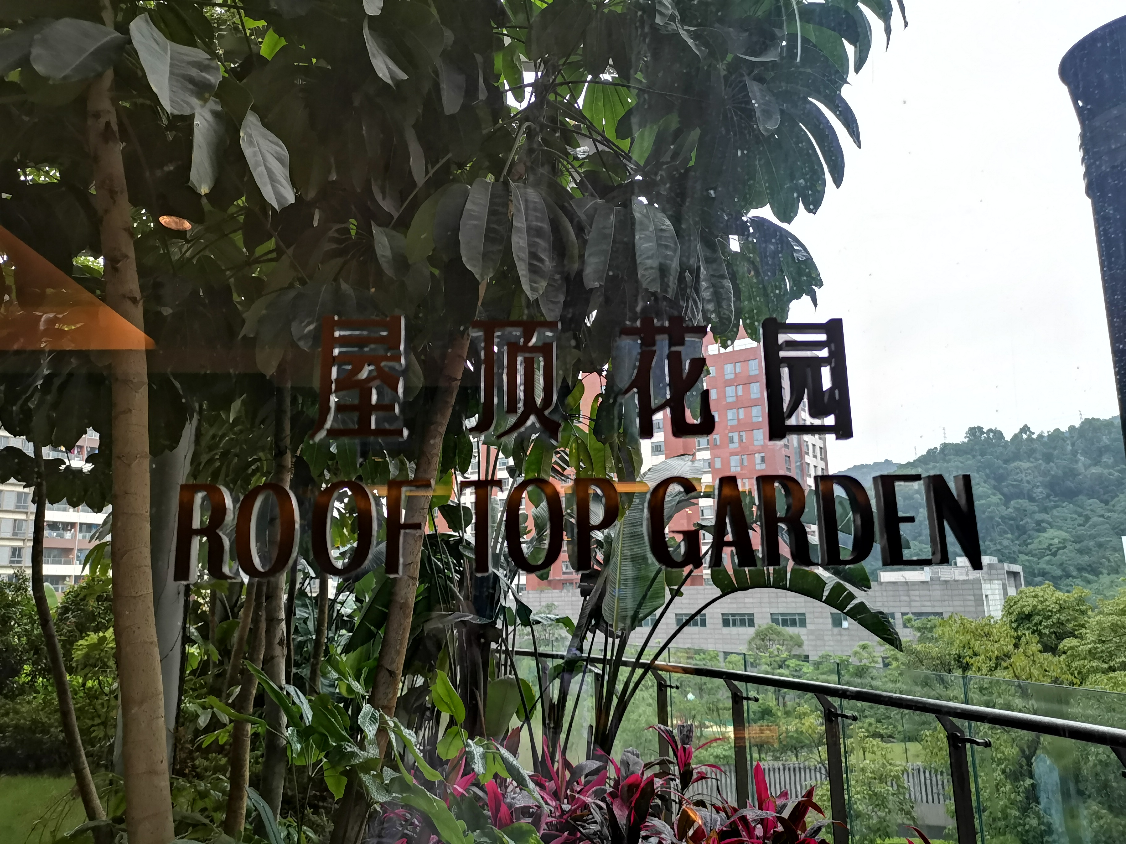 广州汇华希尔顿逸林酒店月饼,广州汇华希尔顿逸林酒店自助餐厅