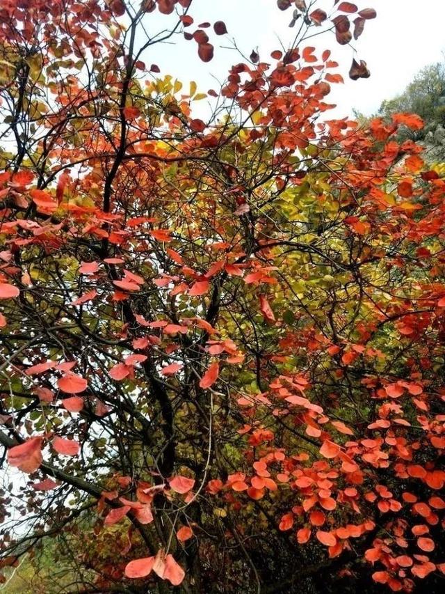 济南旅游景点推荐带孩子玩,济南旅游景点推荐适合带孩子
