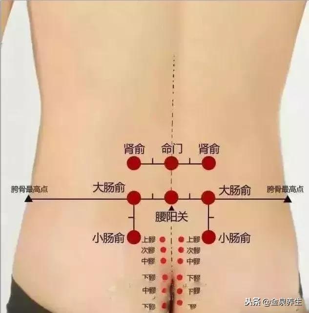 拍打臀部养生法,养生小知识之拍打臀部