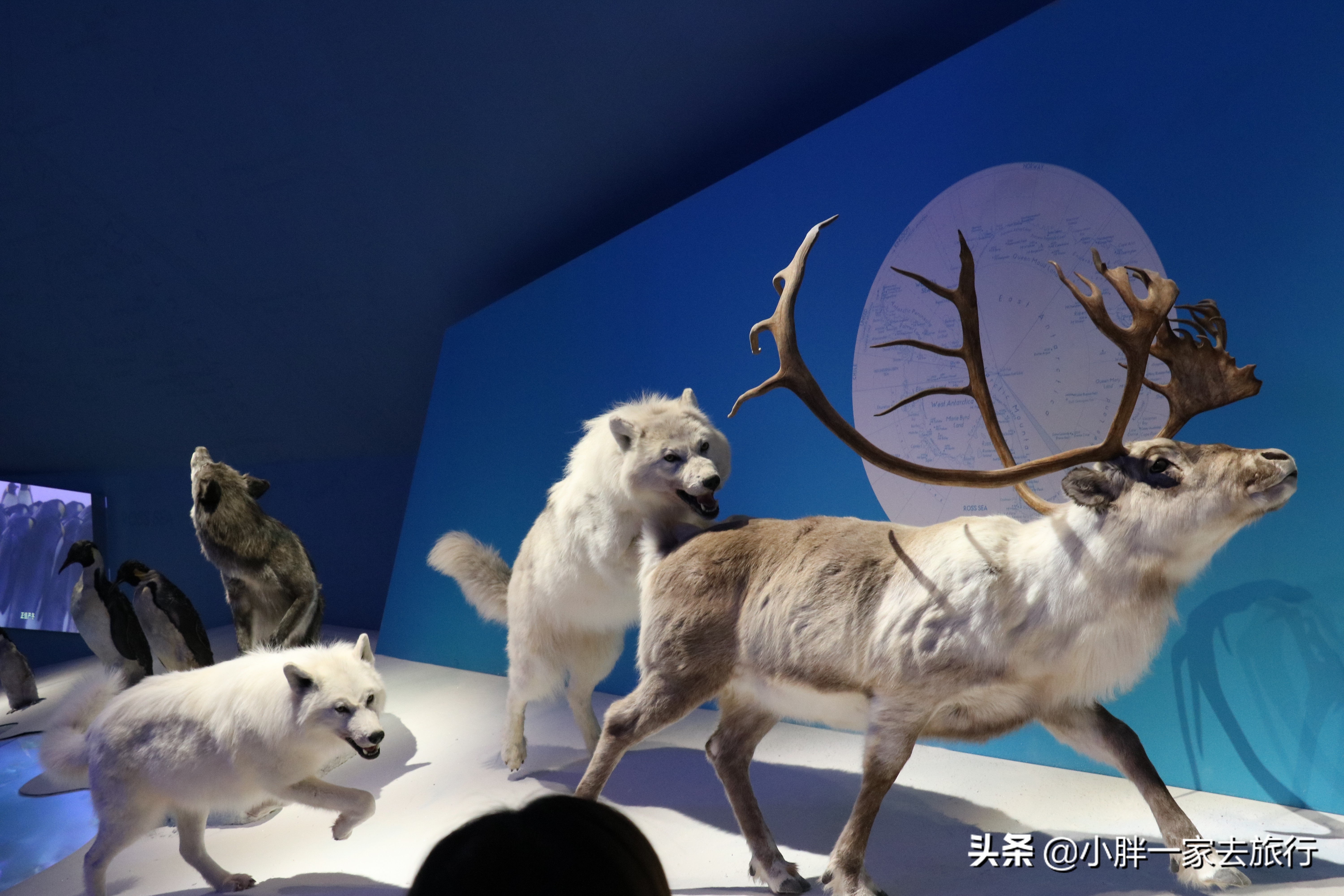 最大的北京海洋博物馆,海上故宫国家海洋博物馆