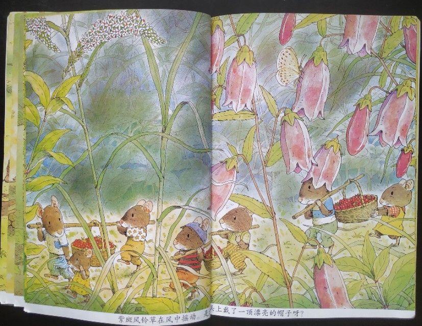 十四只老鼠绘本完整版,14只老鼠好书推荐