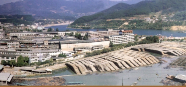 60年南纸风云（终结篇）