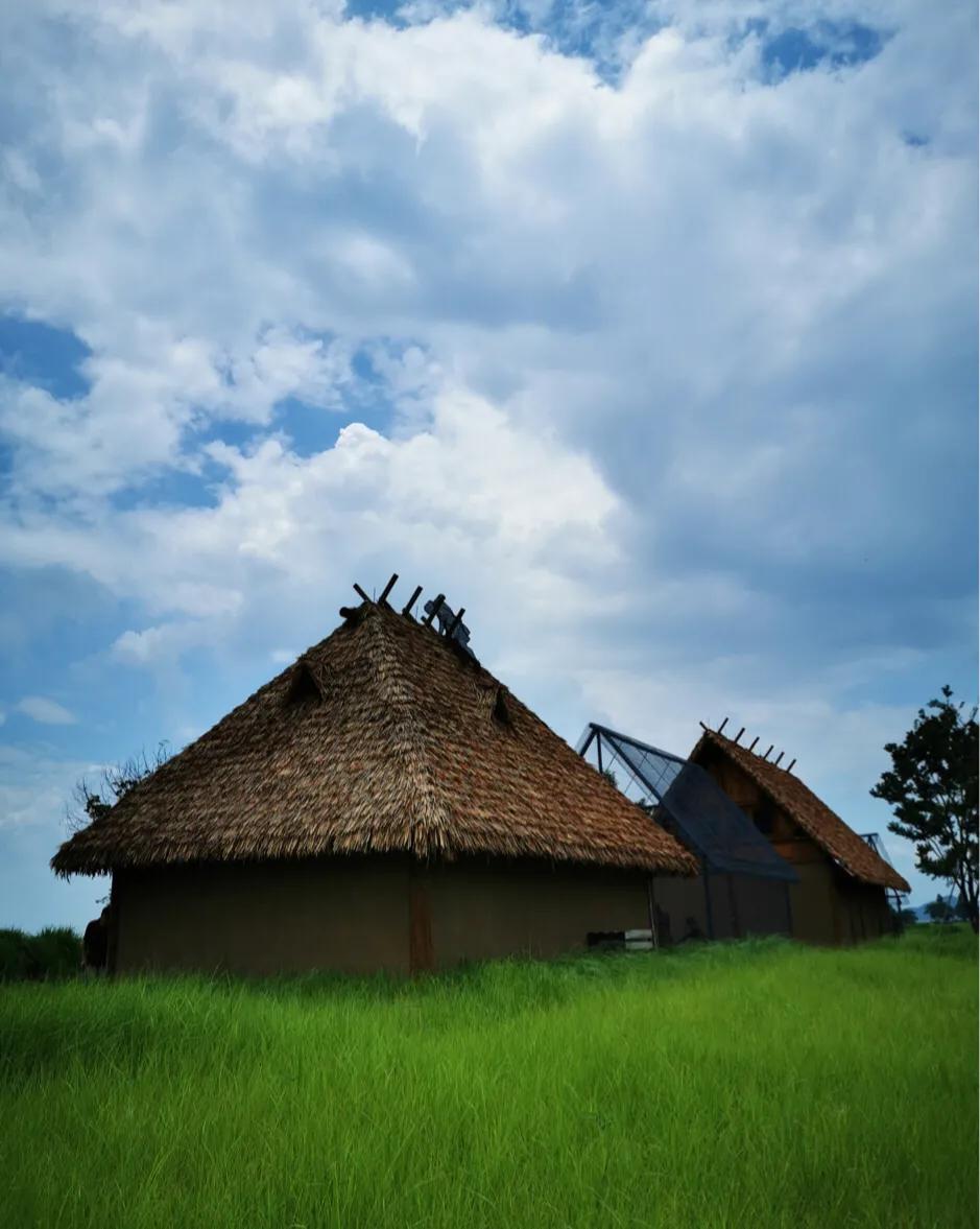 良渚文化村和良渚遗址公园的区别,良渚古城遗址文化村