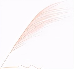 妈妈带男童进女厕引争议事件后续,妈妈带儿子进女浴室遭呵斥