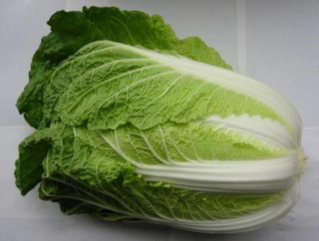 晚上游四方,游四方下联