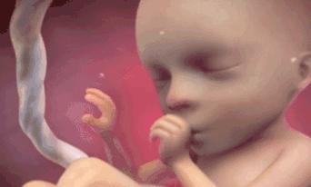 胎儿在妈妈肚子里干什么图片,胎儿在妈妈肚子里的位置变化