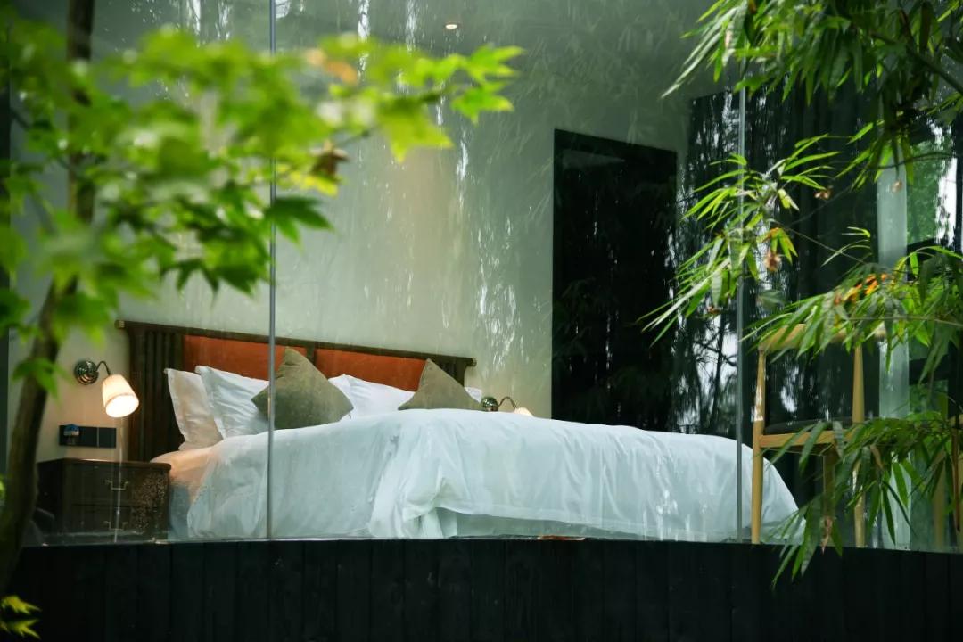 凉快避暑的民宿,成都都江堰与青城山附近的民宿