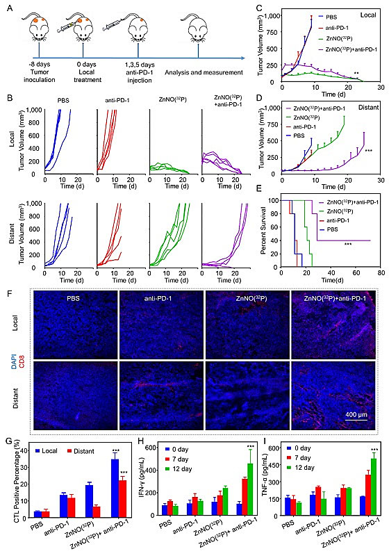 刘庄团队：自激发二维纳米材料，增强核素-免疫联合治疗