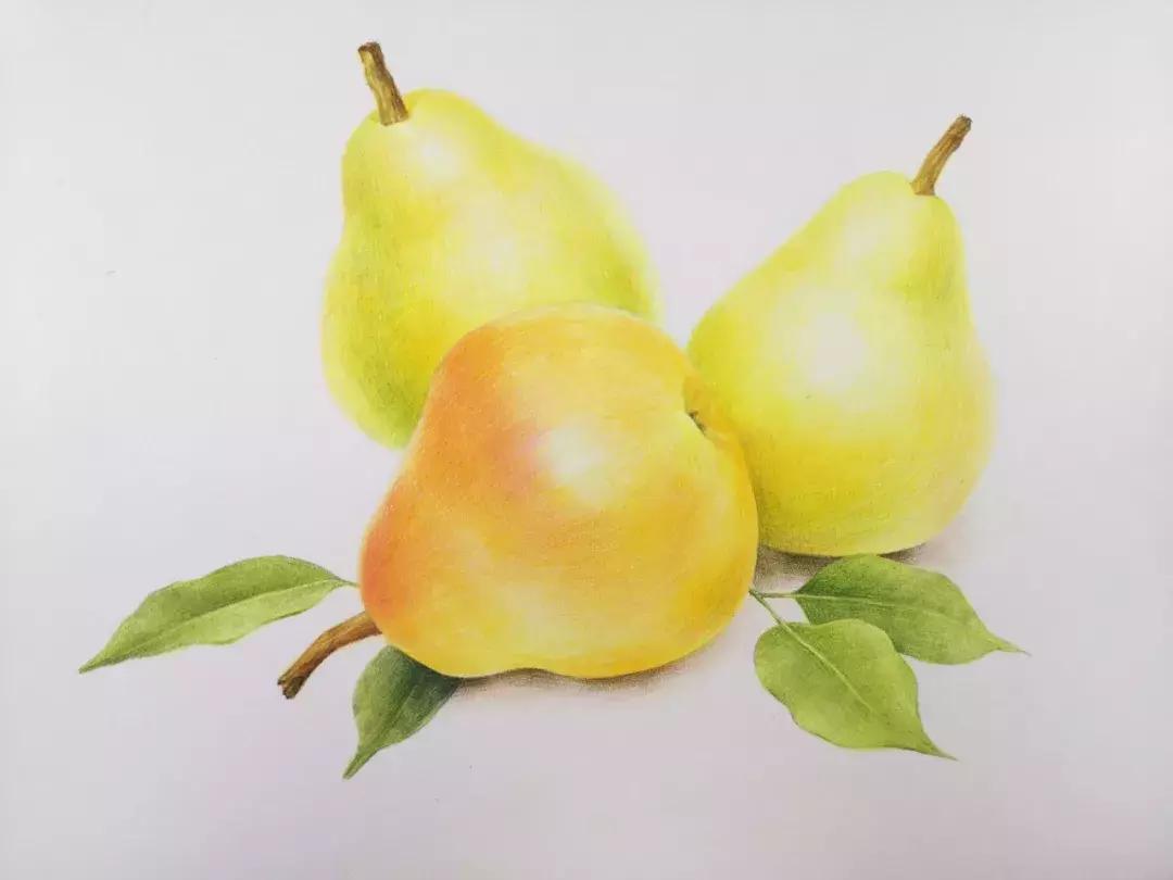 香梨彩铅画,彩铅肉肉的画法