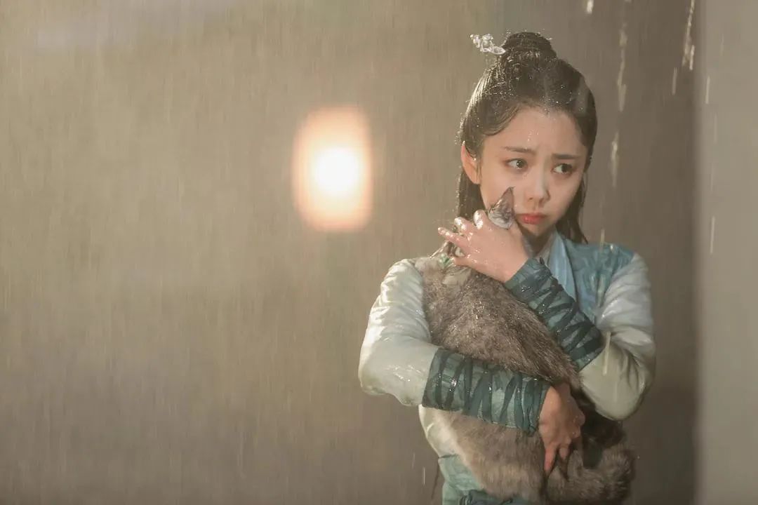 谭松韵卑微求爱完整视频,谭松韵卑微求爱视频