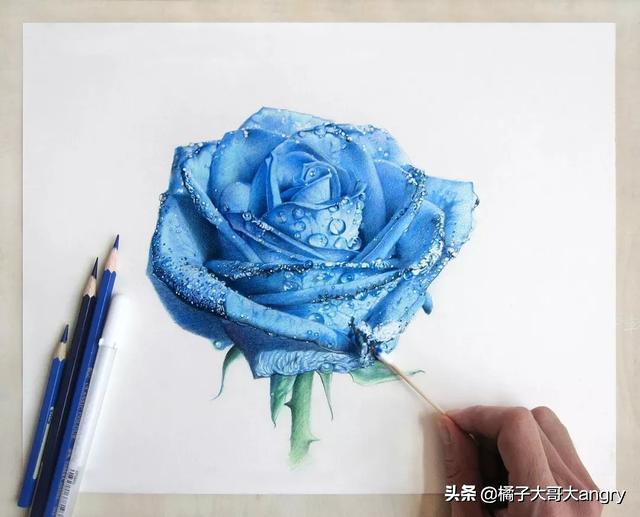 画画彩铅基础入门,彩铅手绘入门教程