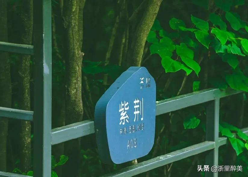 溧阳南山竹海温泉民宿,溧阳温泉民宿推荐