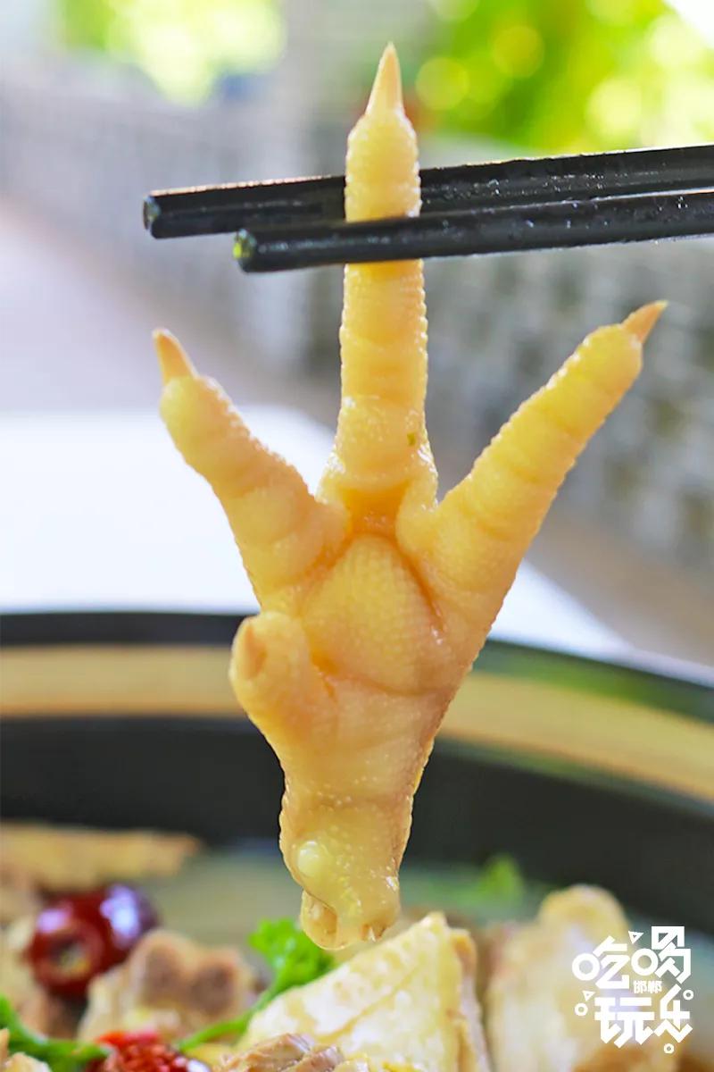 秋冬来袭！来碗养生汤！吃着鸽子喝着汤！请客有面子就到鸽子王