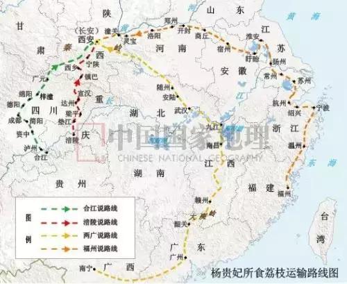 杨贵妃妃子笑荔枝,一骑红尘妃子笑杨贵妃喜欢荔枝吗