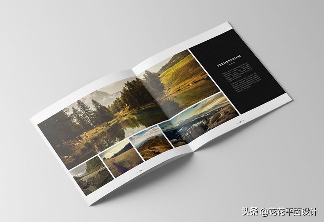 画册版式设计欣赏,艺术画册版式欣赏