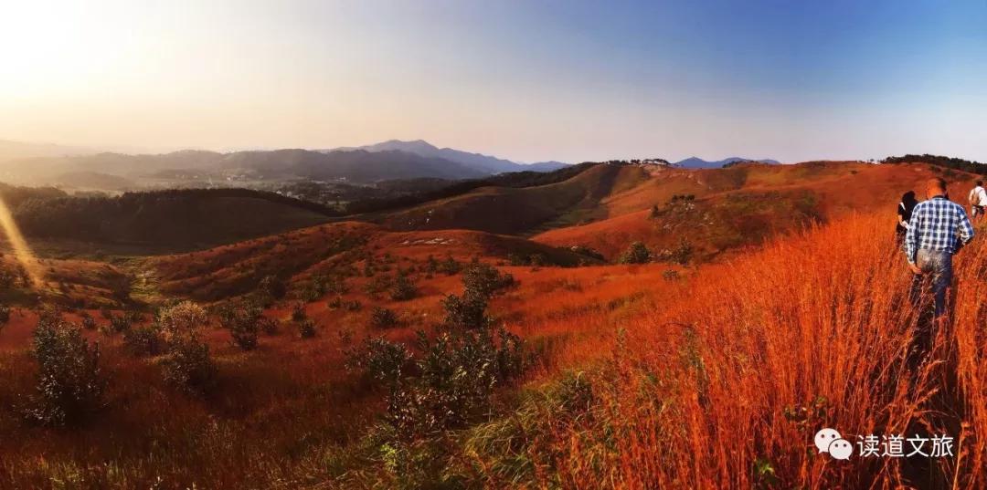 农业种植如何设计项目融资,个人投资农业项目怎么起步