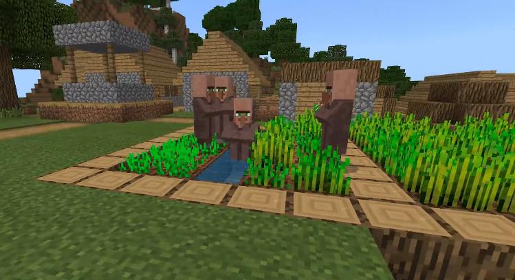 我的世界八大稀有村庄地图密码,我的世界10大稀有的村庄