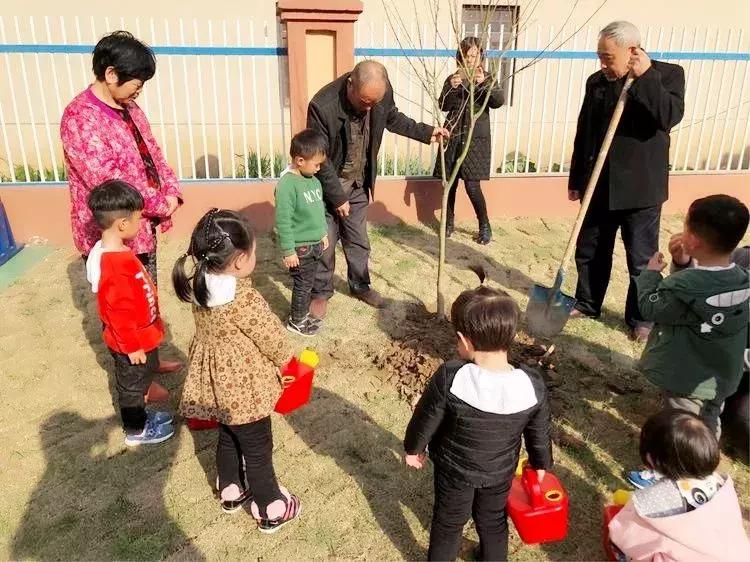 拥抱春天播种绿色植树节广播稿,拥抱春天播种绿色活动