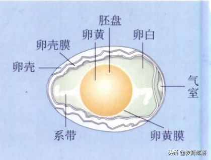初中生物会考复习计划,初中生物会考复习资料全套