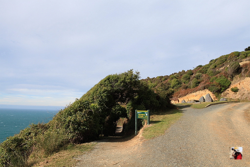 新西兰有哪些景观,新西兰风景最好的地方在哪里