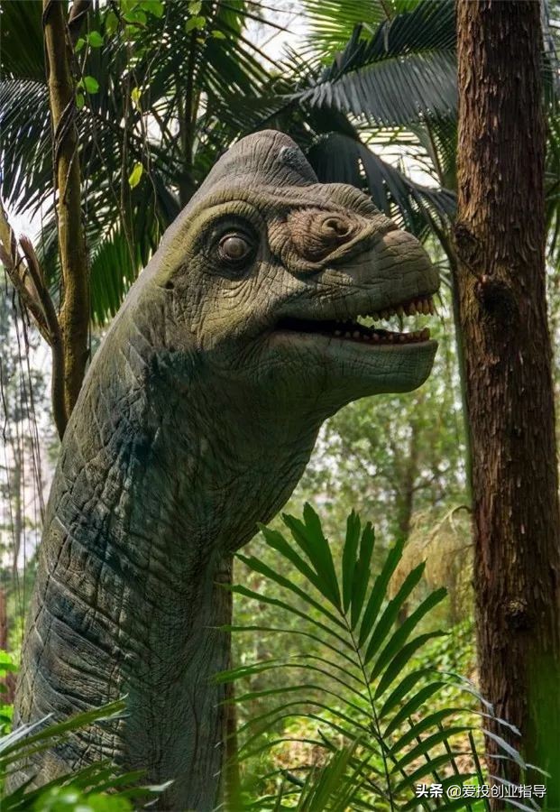 贝窝：与你“童”行丨来长隆，一起撒欢，一起找回儿时欢乐