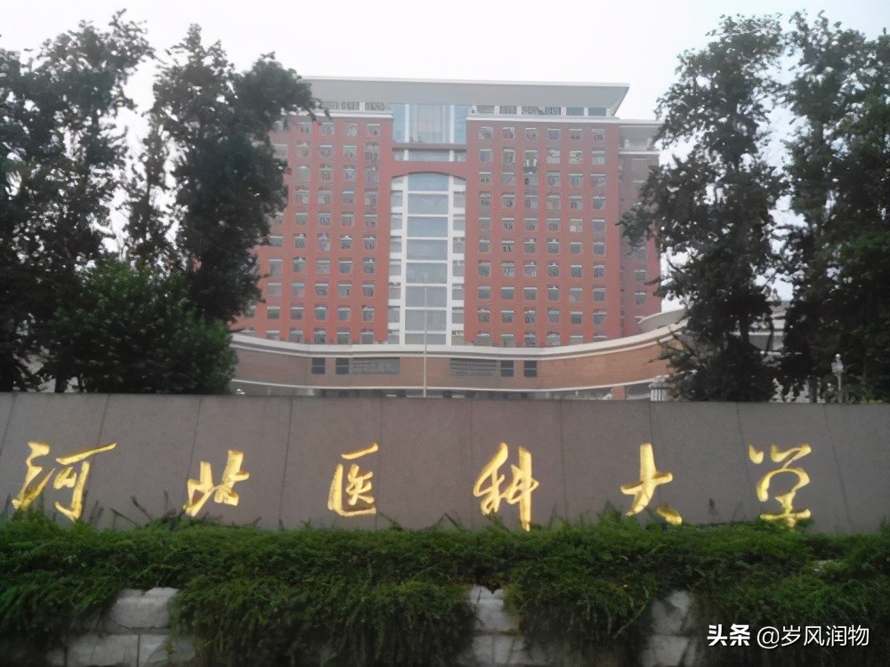 石家庄被低估的学校,石家庄高等教育怎样