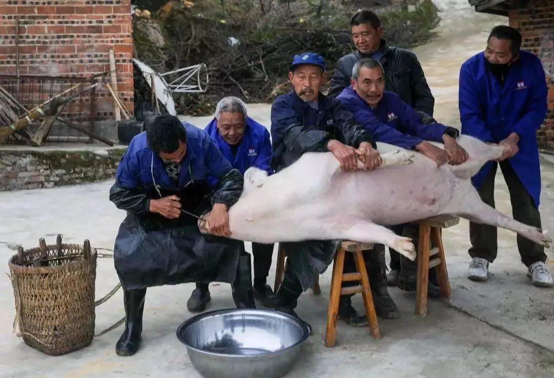 疫情也挡不住游子归家的心,疫情也挡不住吃货的心