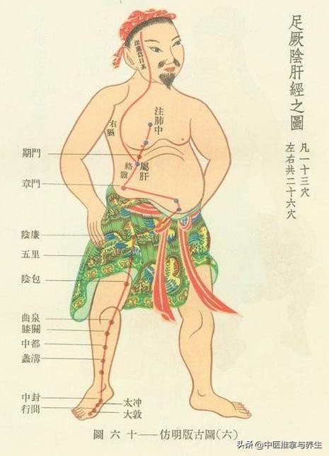 肝经疏通对肝病有用吗,女性调理肝经的经络