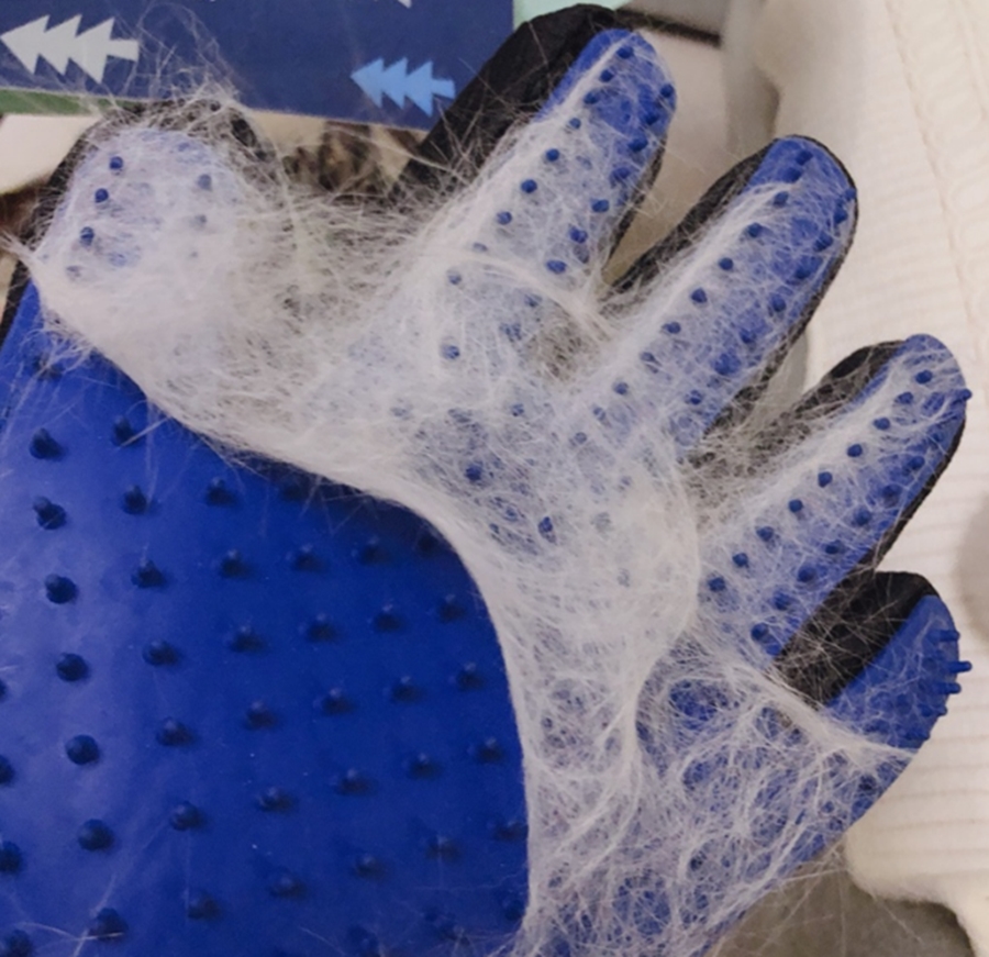 满屋子都是猫毛,清理猫毛手套