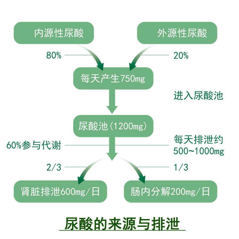 痛风治疗的病因病机,痛风症状表现有哪些怎样鉴别