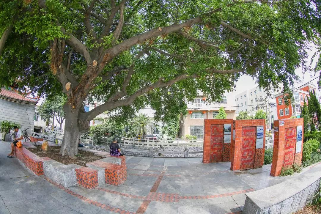 晋江西滨，面积最小的镇，70幅作品了解“大美晋江精品西滨”