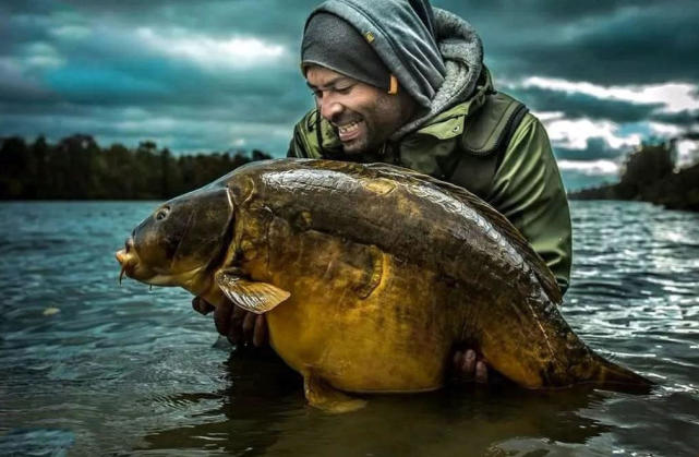 英国钓鲤鱼装备,欧洲钓鲤鱼的方法