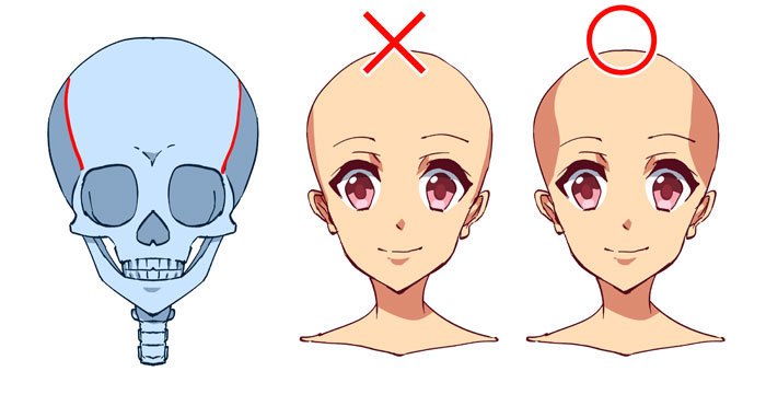 动漫人物怎么画头部,怎么画动漫人物头部结构