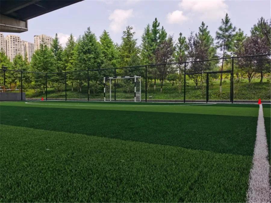 看！门前大桥下，运动场一片片冒出来，你去打卡了吗