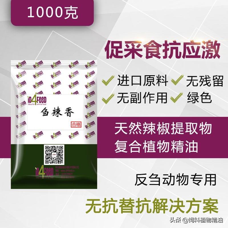 辣椒素对犊牛生长性能的影响,辣椒素制备技术