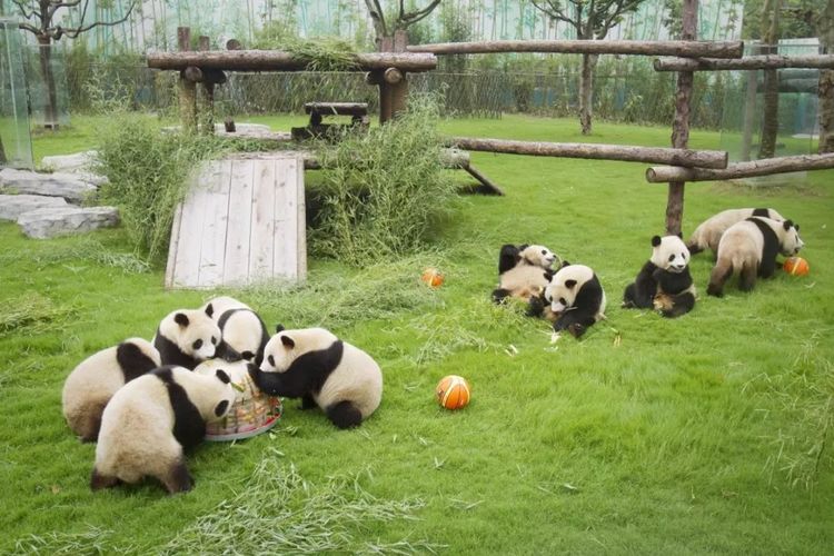 上海30家“休闲好去处”:一半以上都免费,够玩一整年