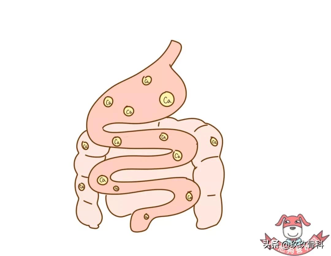 13岁什么牌子钙片补钙效果最好,大人什么钙片补钙效果最好