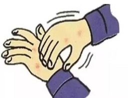 鹅掌风手癣的最好治疗方法,手癣鹅掌风能治好么