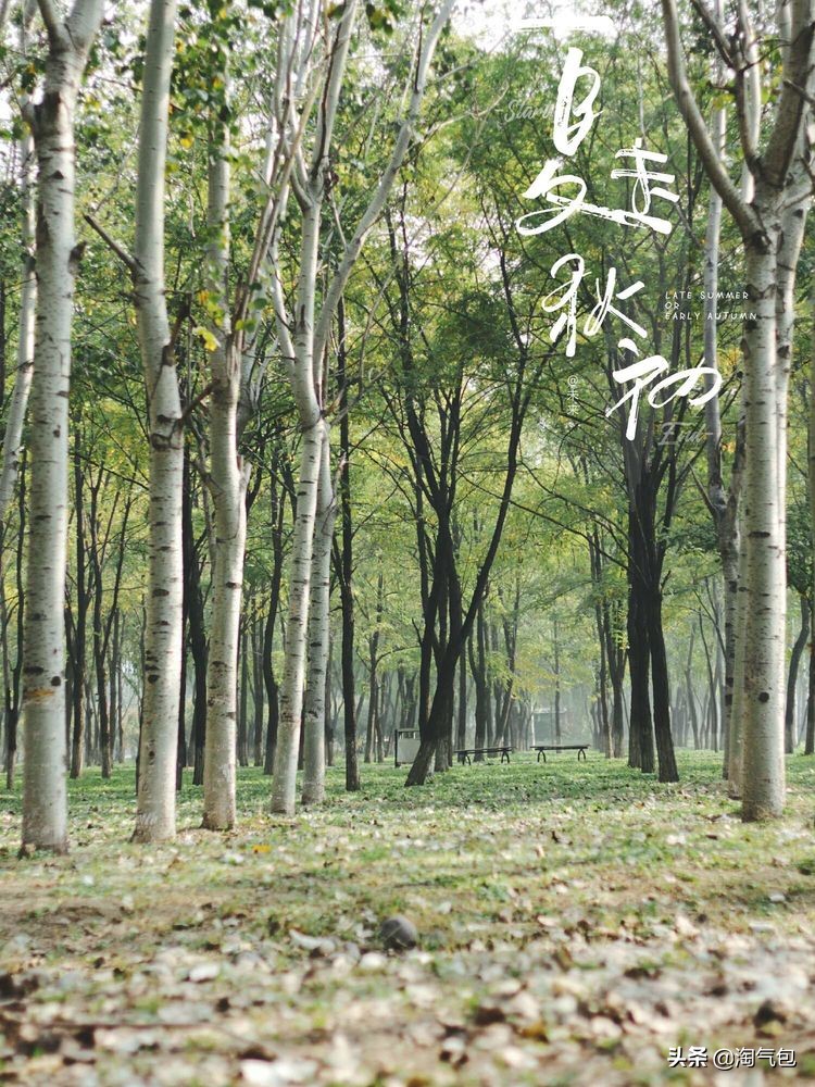 秋分愿生活恰如其分,人生恰如秋分生活恰如其分