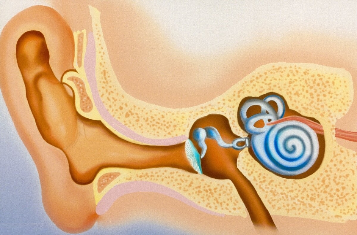 “脑袋迷糊”时，眩晕与头晕不一样，可能的病因是什么