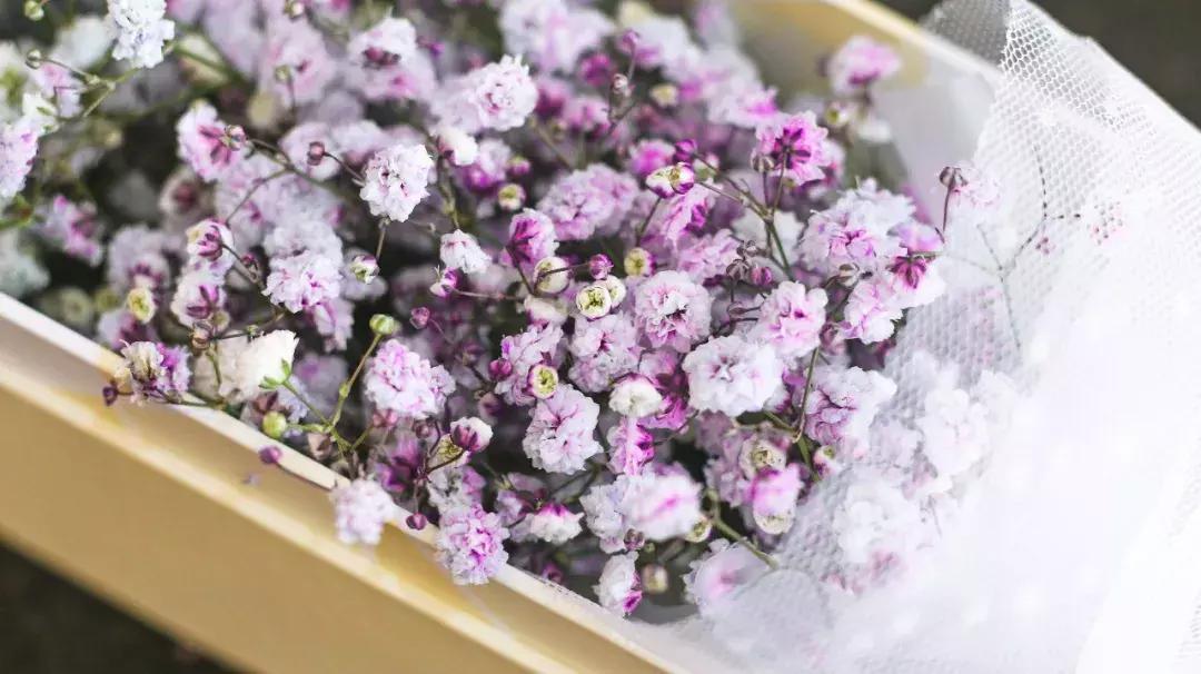 厦门这家超浪漫的鲜花餐厅,厦门最好看的花店