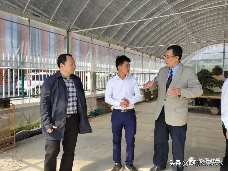 盆景产业的前景,我的盆景创业之路