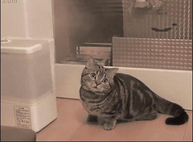 魏老爸测评戴森空气净化加湿器,加湿器推荐评测戴森