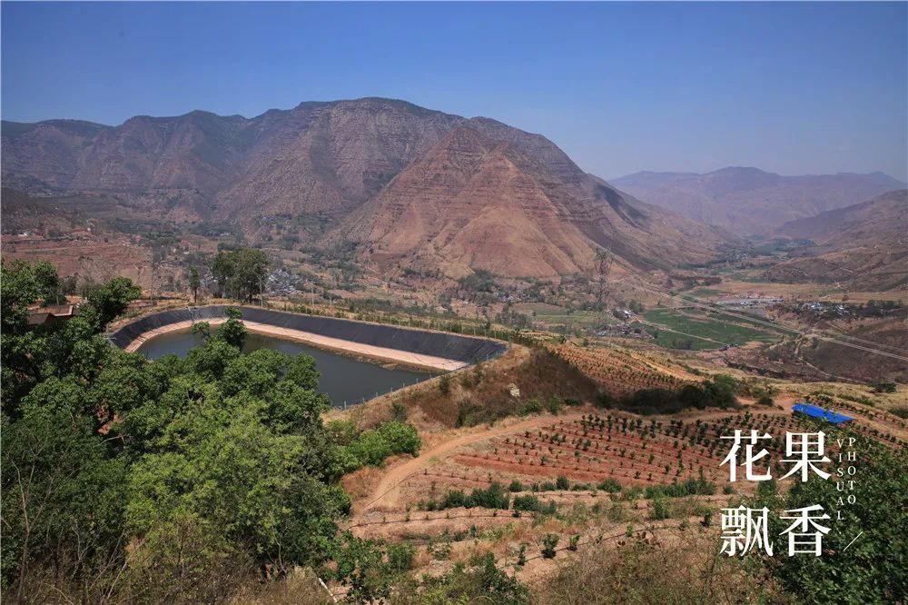 上市最早，收益最高，风险最大，果园投资的子午谷奇谋可取吗？